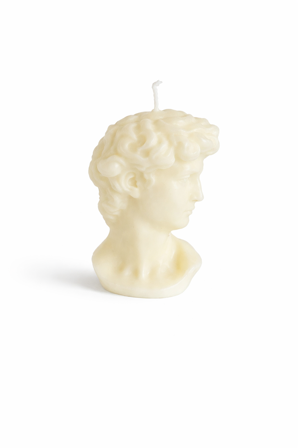 Classic Sculpture Bust