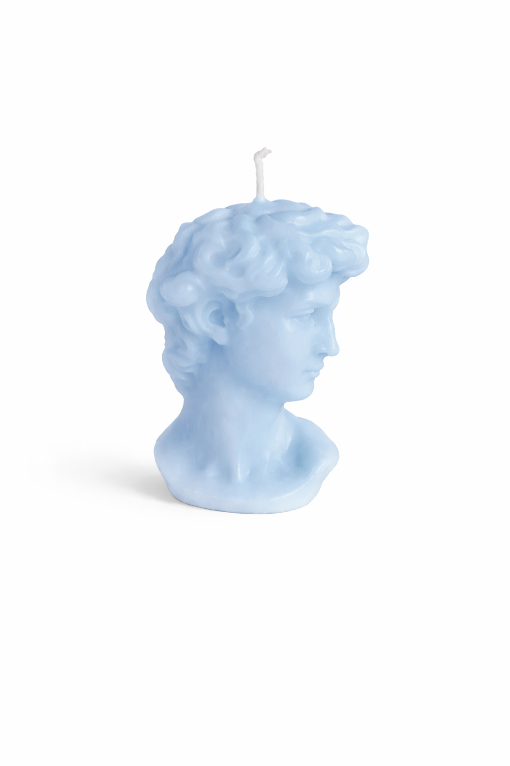 Classic Sculpture Bust