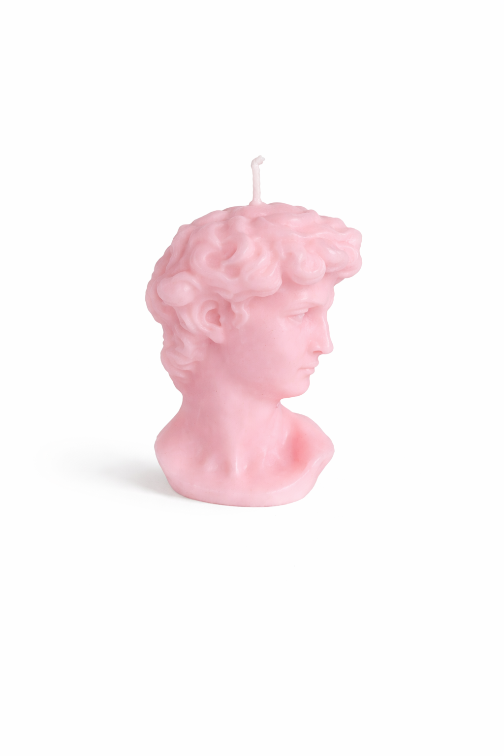 Classic Sculpture Bust