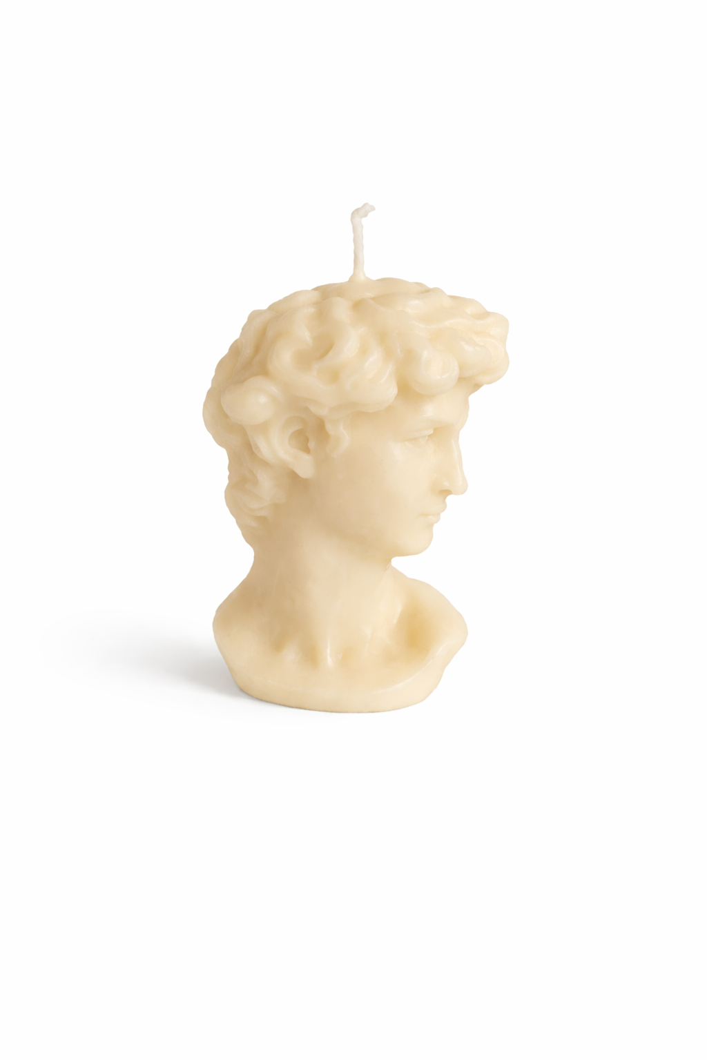 Classic Sculpture Bust