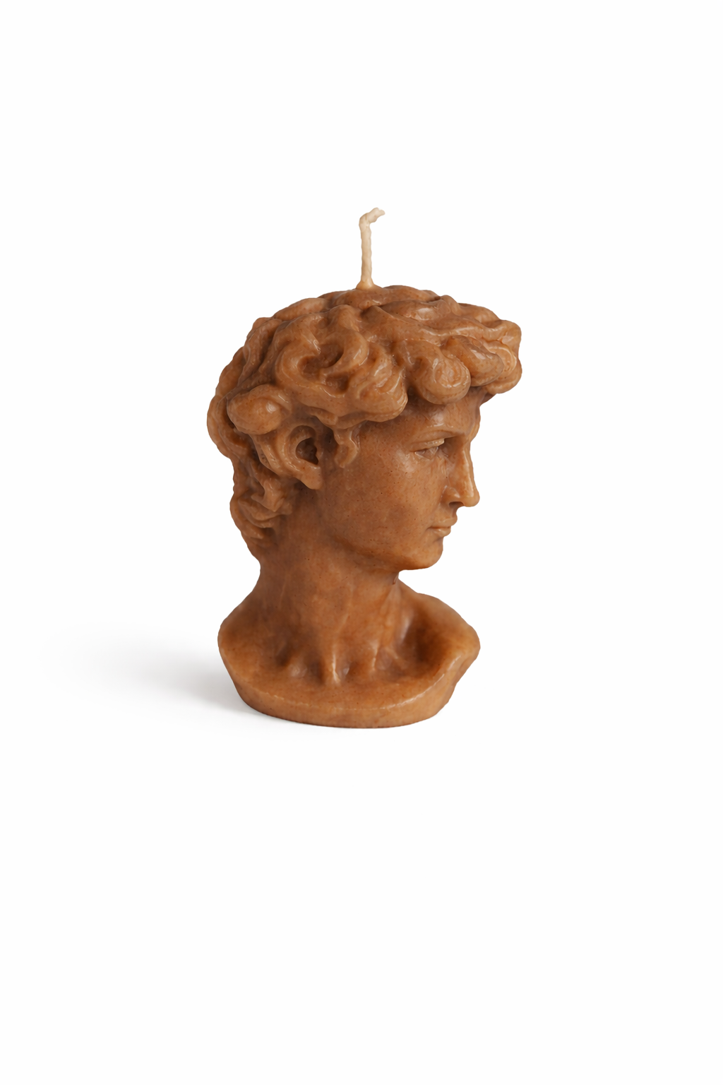 Classic Sculpture Bust