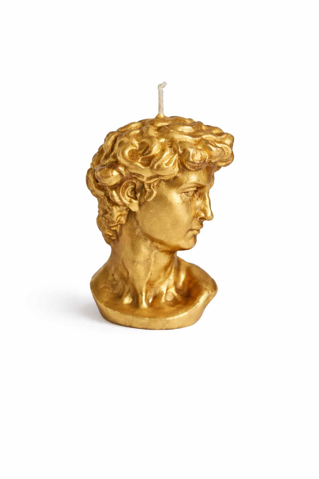 Classic Sculpture Bust